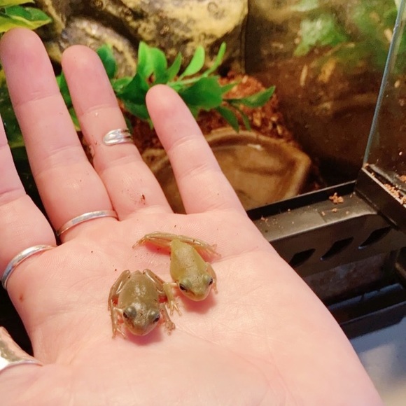 Meet Caitlin & her babies - Picture 4 of 8